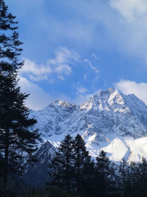 《服务器：从零到精通的终极指南》